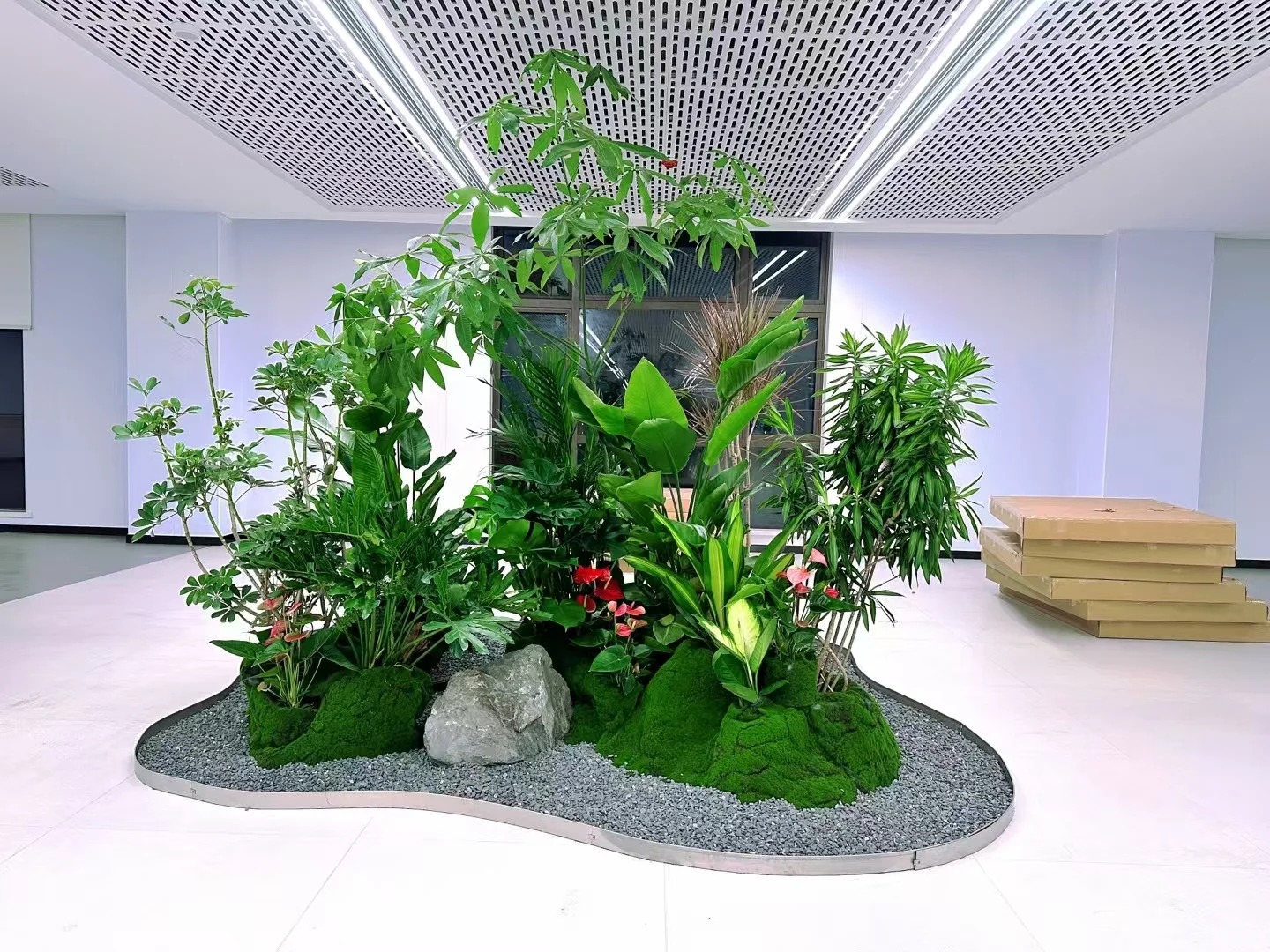 了解江北花卉出租方案，让花卉扮靓你的世界