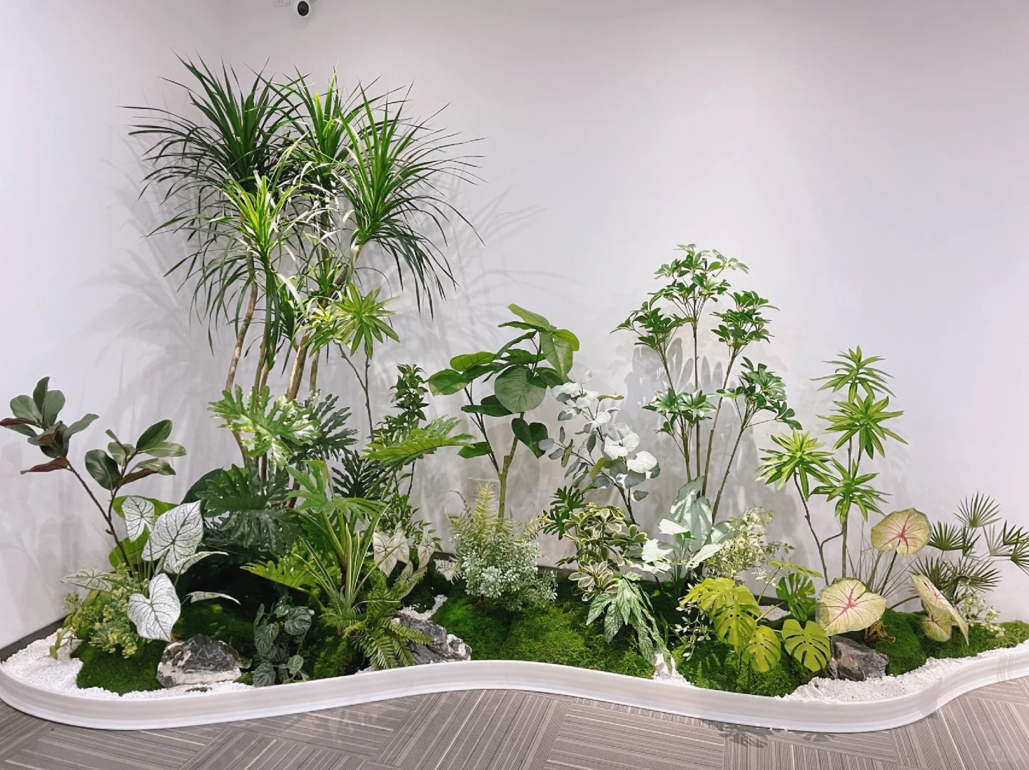 了解江北花卉出租方案，让花卉扮靓你的世界